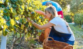 Наём сезонных сотрудников