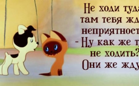 Неприятности на работе, как сообщить боссу