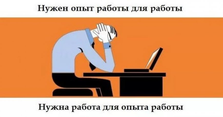 Как найти работу без опыта