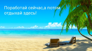 ИП Терехова Олеся