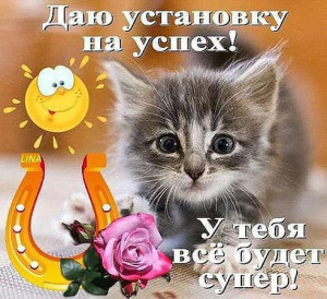 ИП Володина О.Т.