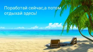 ИП Терехова Олеся