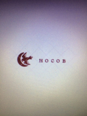 ИП Носов