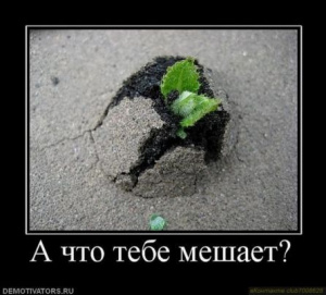 ИП Синицина О.В.